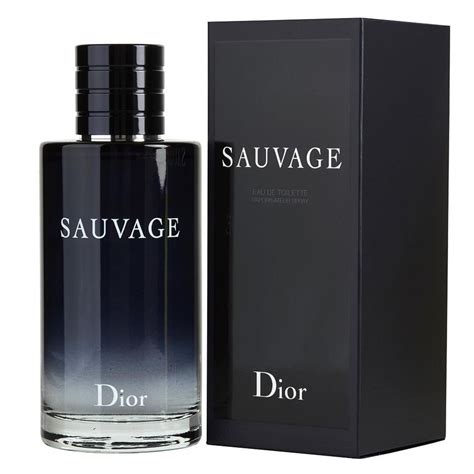 sauvage dior price in pakistan 100ml|Dior Sauvage perfume Pakistan.